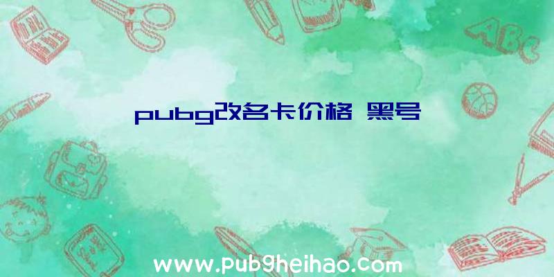 pubg改名卡价格